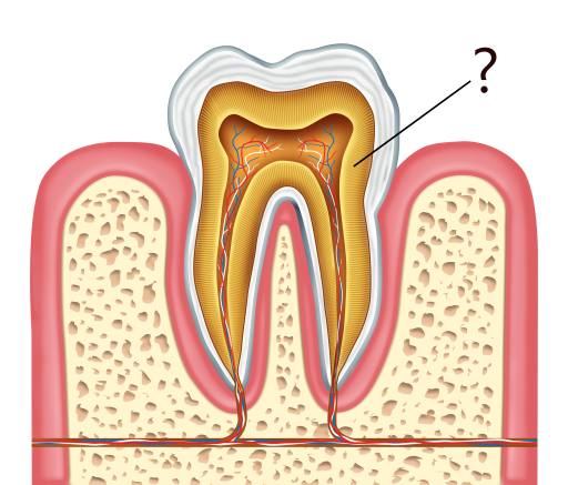 zubovina